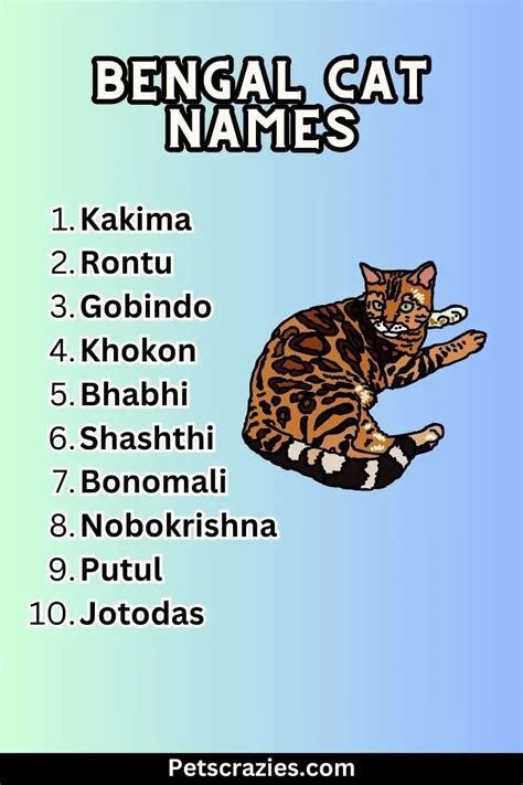 exotic female bengal cat names|names for bengal female cats.